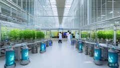 处理农业范畴的环节手艺难题